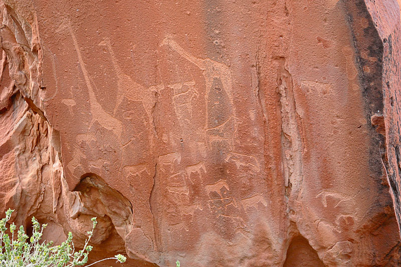 Gravures rupestres-Twyfelfontein-Namibie