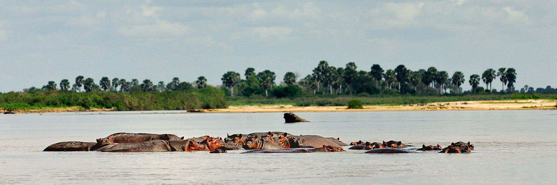 La rivière Rufiji-Selous-Tanzanie